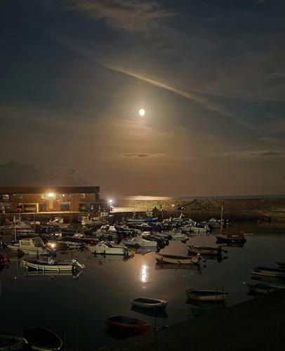 Moonrise over the harbour