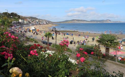 Roses and Lyme Regis beach